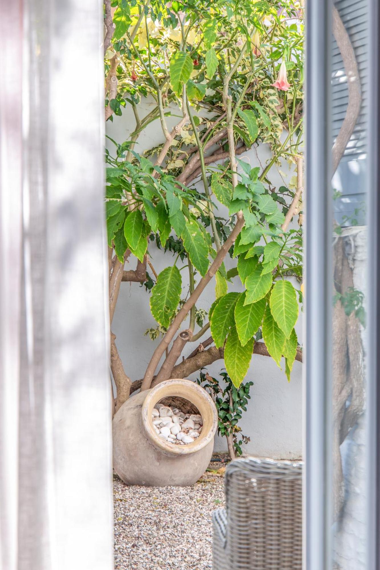 Micra Anglia Boutique Hotel & Spa Andros Town Exterior photo